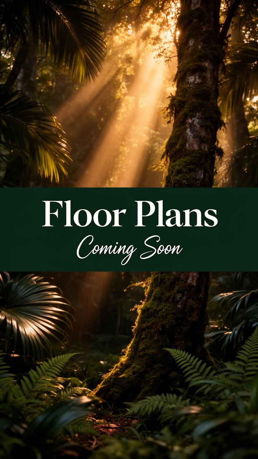 Tilal Binghatti Floor plan